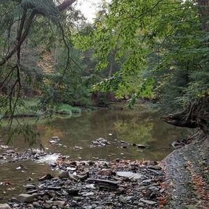 Meet your Posher, Robin